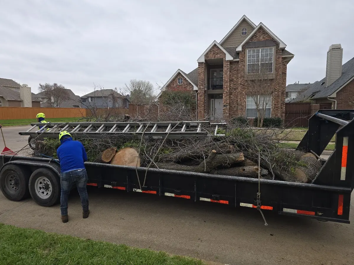 Expert Tree Fertilization with proper safety equipment in Las Animas